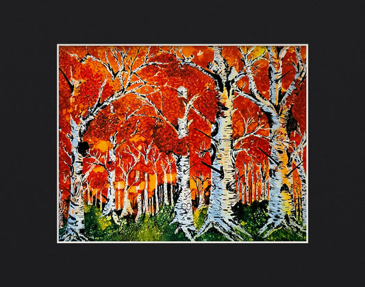 Autumn Birch Grove