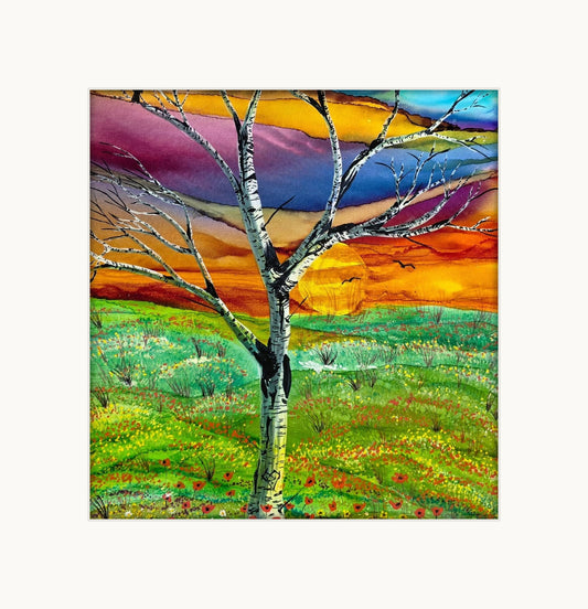 Birch at Sundown