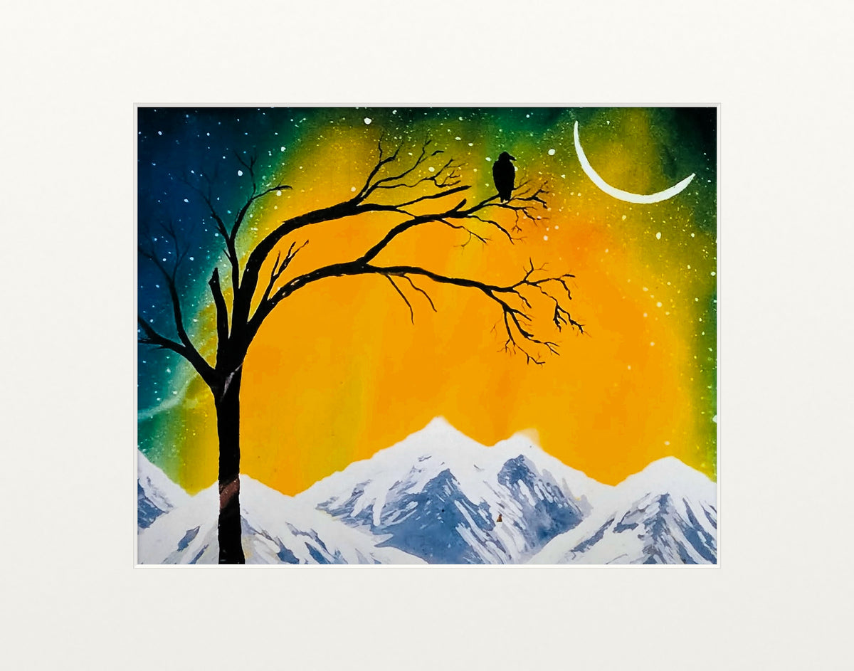 Lone Raven in the Northern Lights