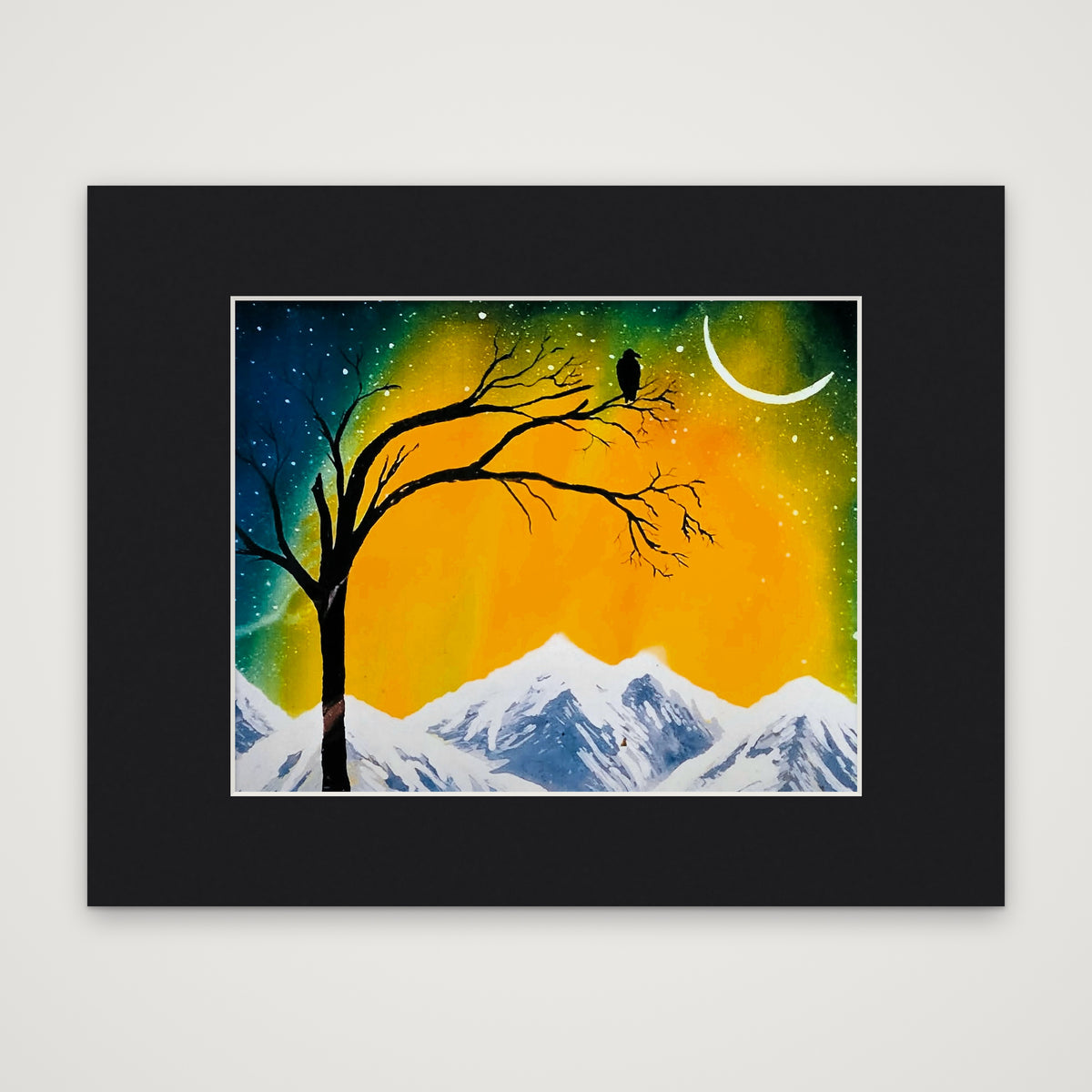 Lone Raven in the Northern Lights